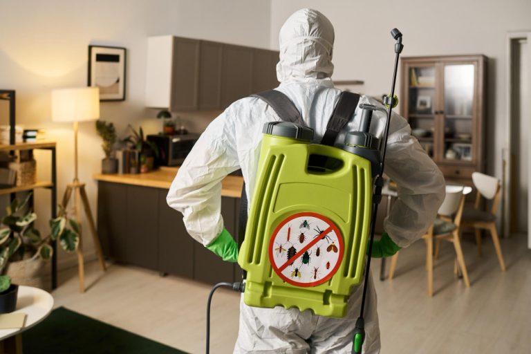 Pourquoi de plus en plus de ménages québécois gèrent eux-mêmes leurs problèmes de nuisibles